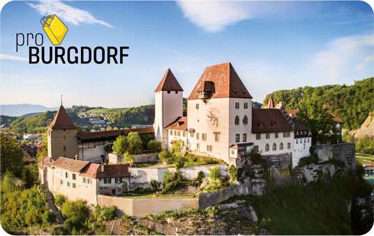 Pro Burgdorf Card Schloss Panorama