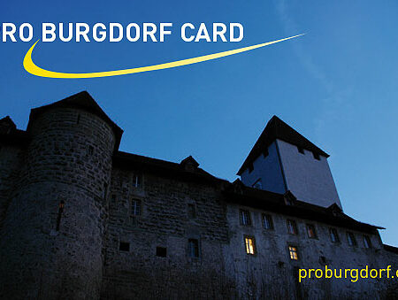 Pro Burgdorf Card Schloss bei Nacht